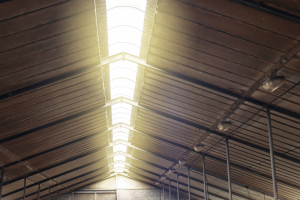 inside of shed looking at roof with lights